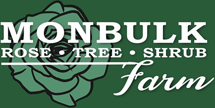 Mobulk Rose, Tree and Shrub Farm. Nursery Monbulk Victoria.