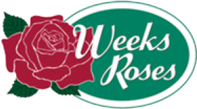 Monbulk Rose, Tree and Shrub Farm, Nursery Victoria