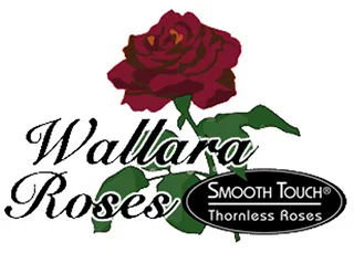 Monbulk Rose, Tree and Shrub Farm, Nursery Victoria